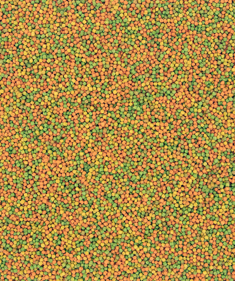 5410340221013food
