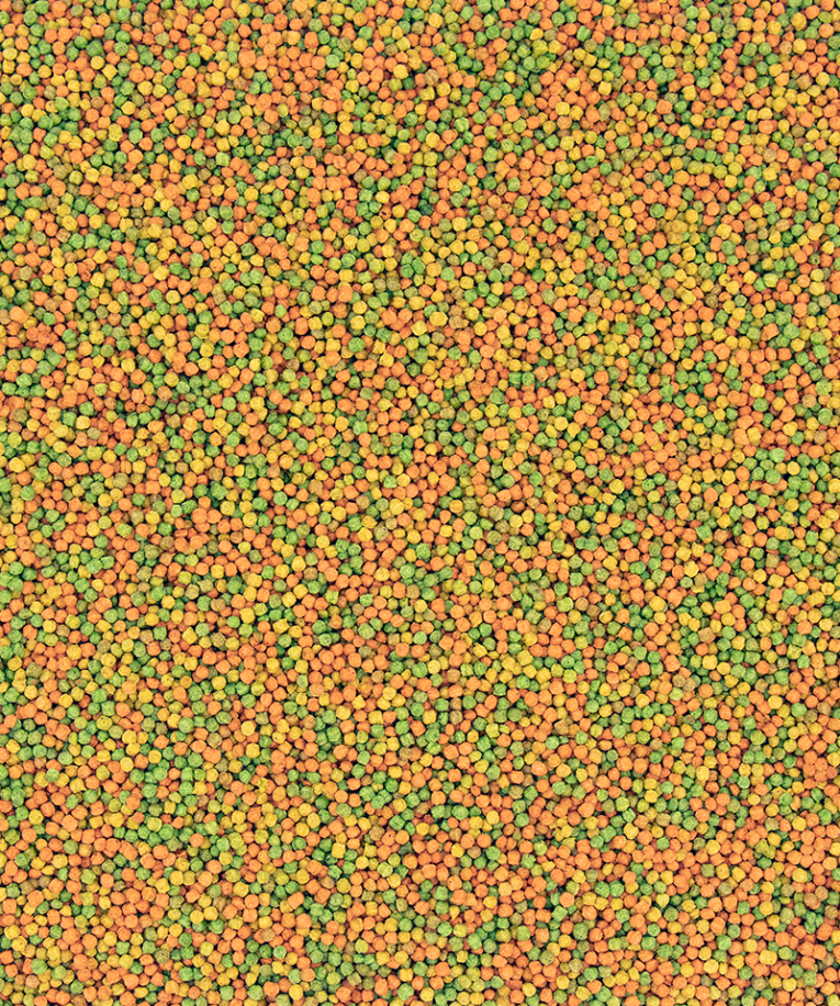 5410340221037food