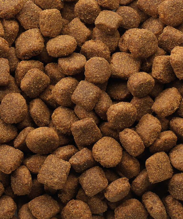 Classic Lamb and Rice 2