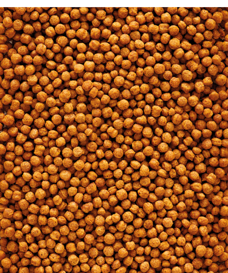 F16 - Versele Laga 2