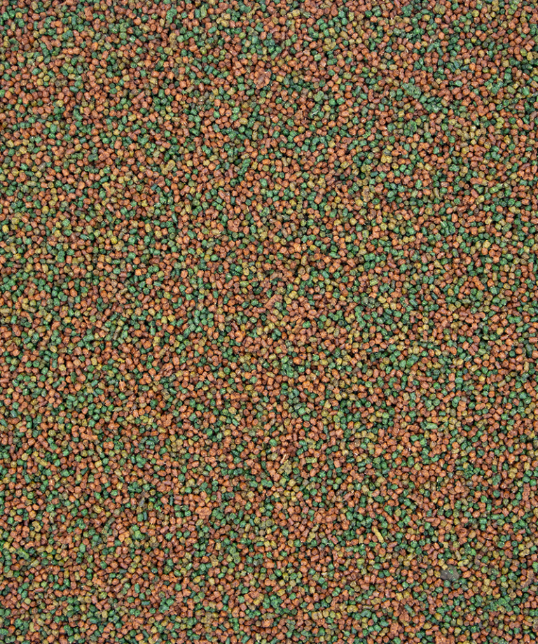 Uni Komplet - Versele Laga