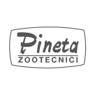 Pineta