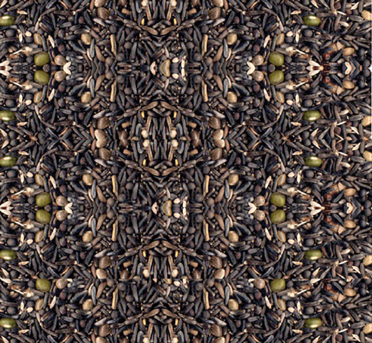 Alta Germinação Manitoba 2c