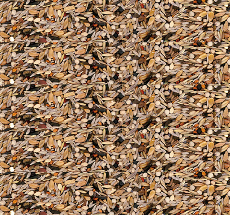 Carduelidi 2,5Kg Manitoba 2c