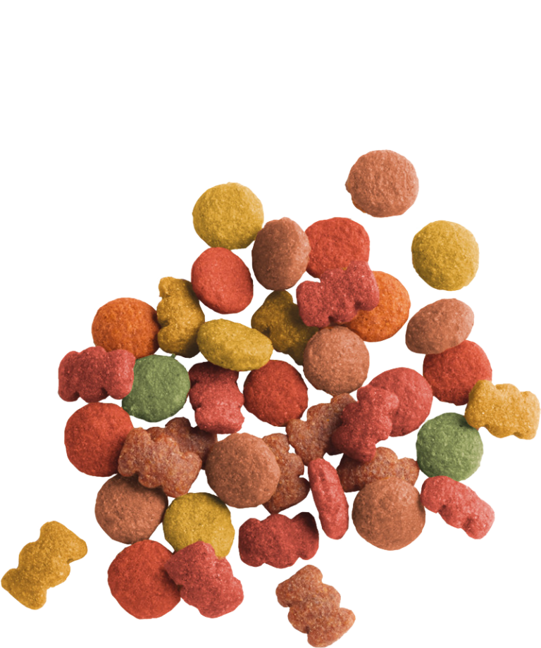 Adulo Borrego - Lara