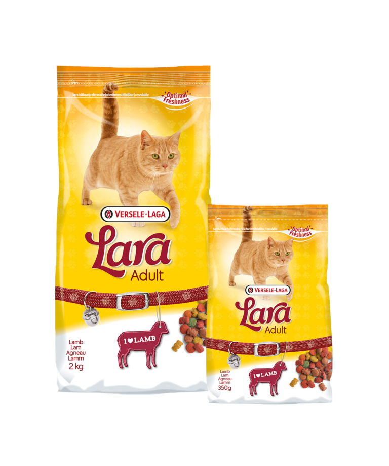 Adulto Borrego 2Kg - Lara