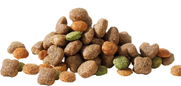 Adulto Mini Borrego 3Kg - Happy Life 2