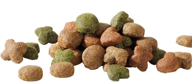 Adulto com Borrego 15Kg - Happy Life 2