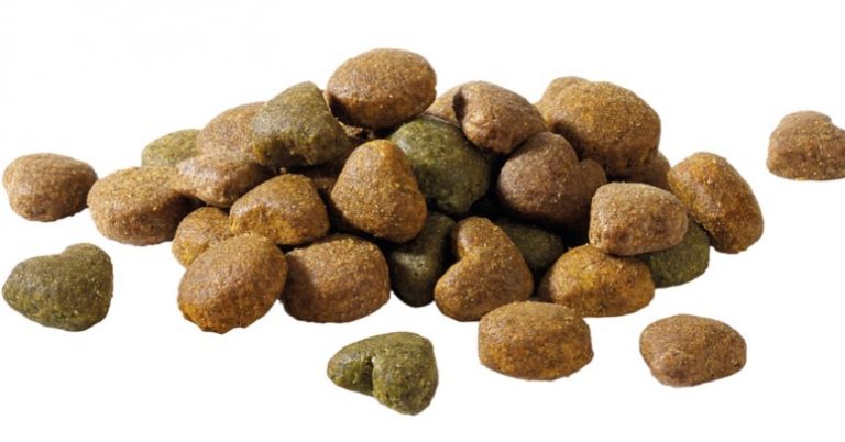 Adulto com Frango 15Kg - Happy Life 2