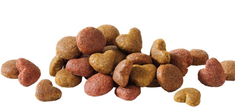 Adulto com Salmão 15Kg - Happy Life 2