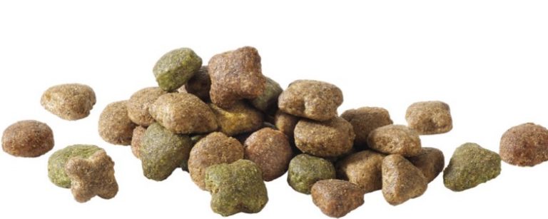 Adulto de Carne 15Kg - Happy Life 2