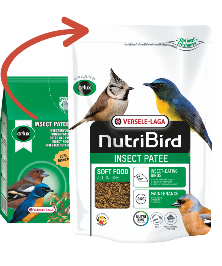 Insect Patee 250Gr - Versele Laga