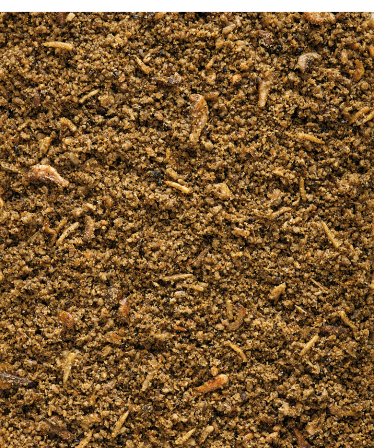 Insect Patee - Versele Laga 2