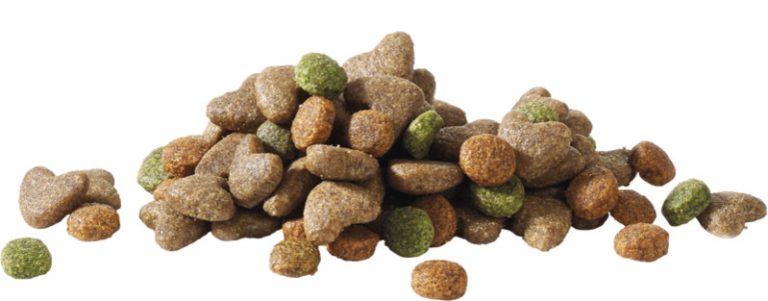 Júnior Frango 10Kg - Happy Life 2