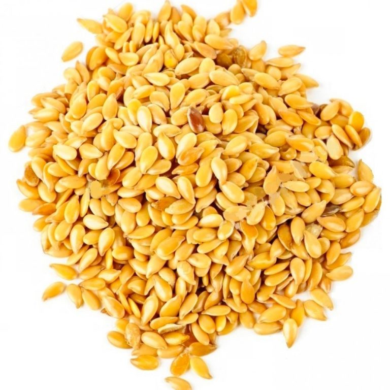 Linhaça dourada Canto Alegre