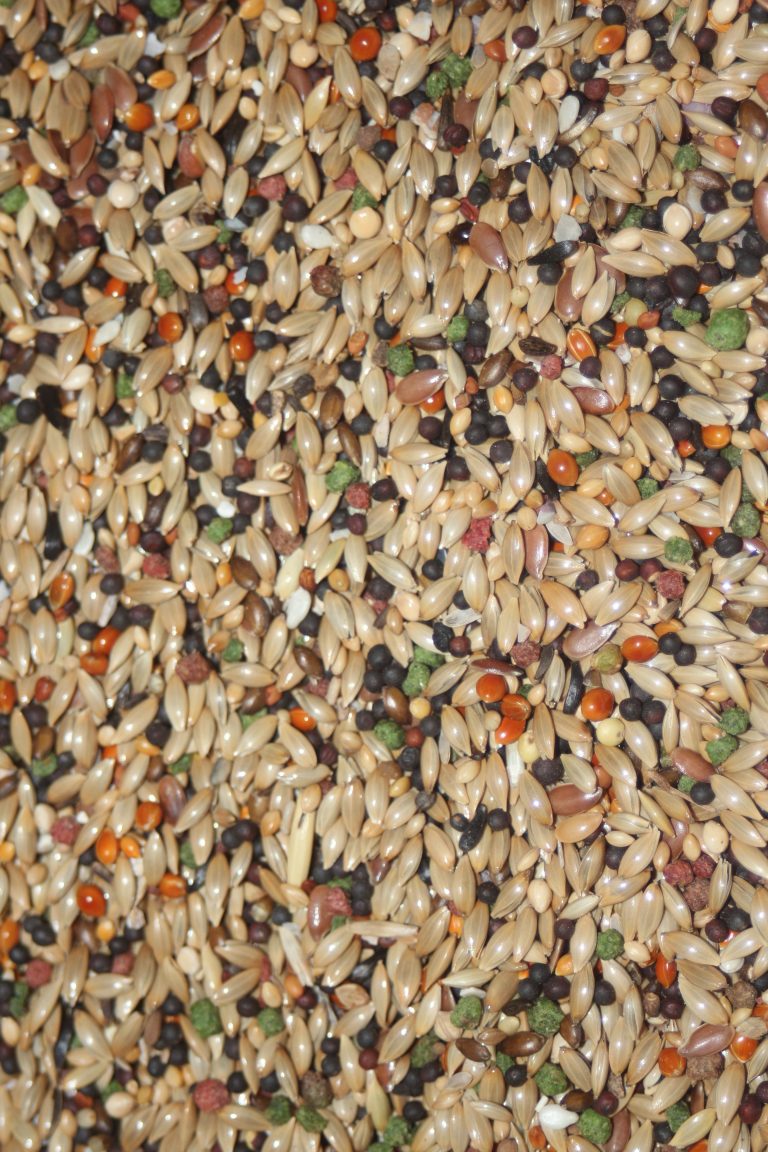 Pintassilgos Triumph Premium - Versele Laga