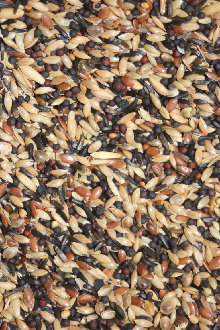 Pintassilgos e Lugres - Versele Laga