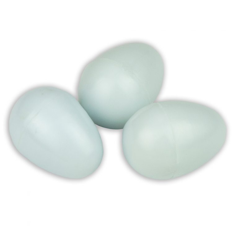 Ovo de Pombo Orni-ex