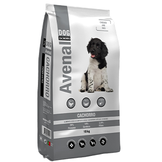 Cachorro 10kg