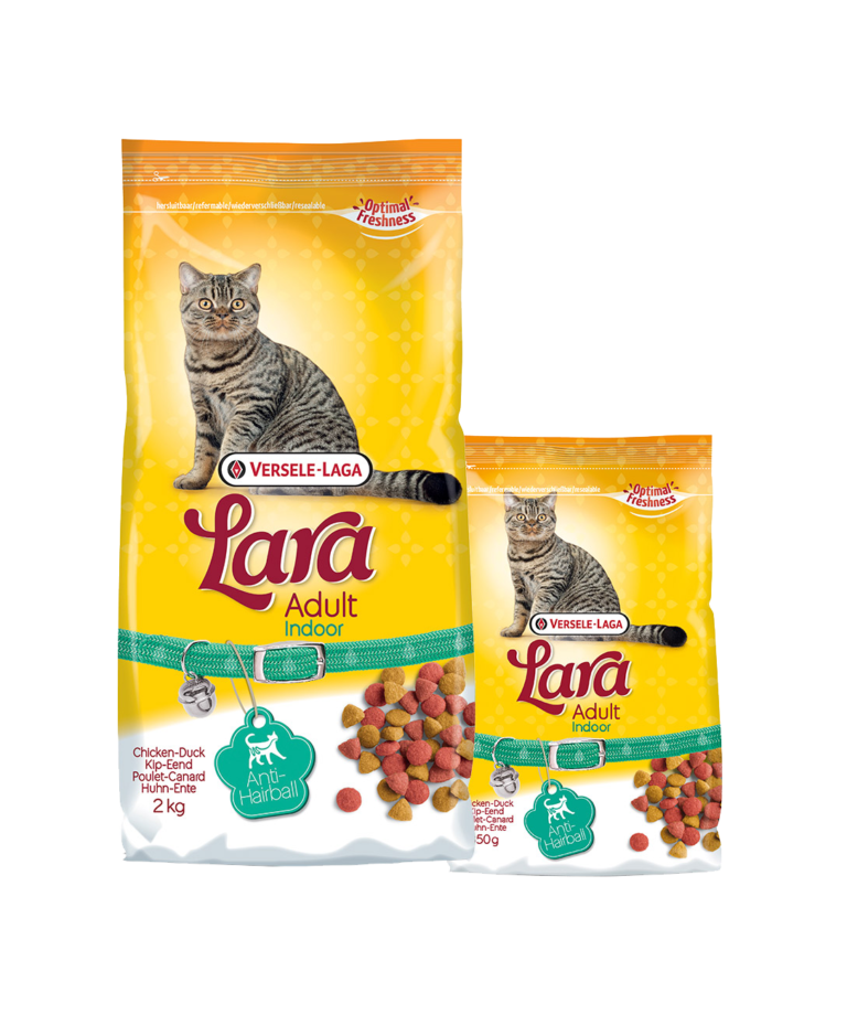 Adulto Indoor 2Kg - Lara
