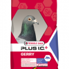 Gerry 20Kg - Plus I.C.+
