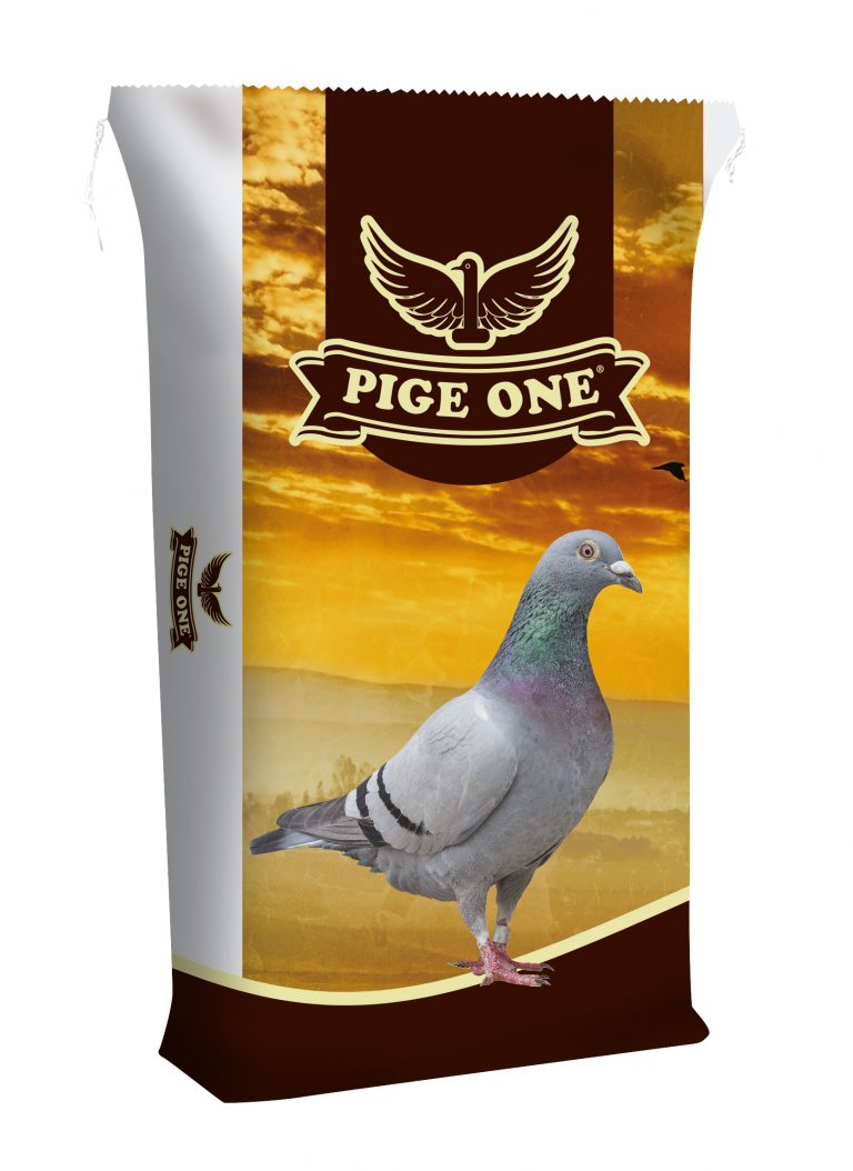 Pombos Reprodutores 20Kg - Canto Alegre