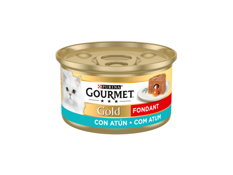 fondant atum