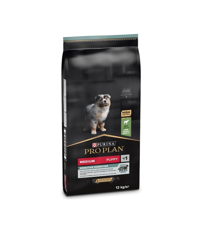 Dog Medium Puppy Borrego 12Kg