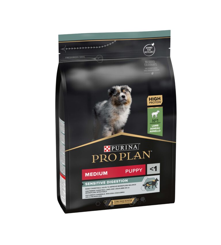 Dog Medium Puppy Borrego 3Kg