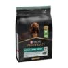 Dog Small Borrego 3Kg