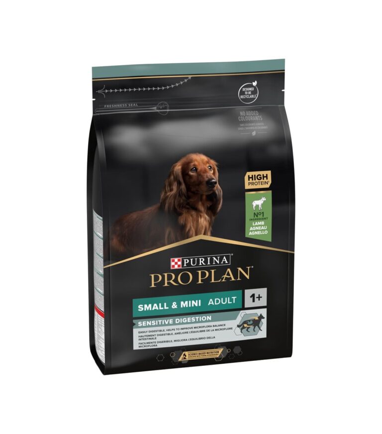 Dog Small Borrego 3Kg