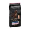 Dog Large Athletic Salmão 14Kg