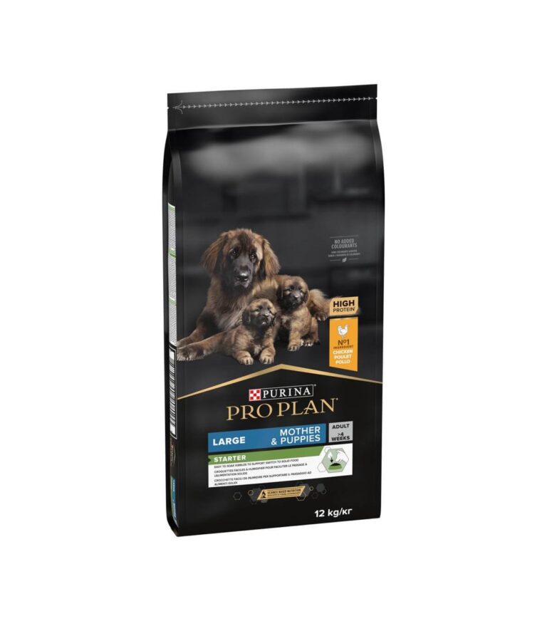 Dog Large Starter 12Kg