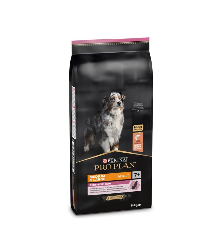 Dog Medium Salmão +7