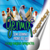 Cardinalitos 4Kg - Germix