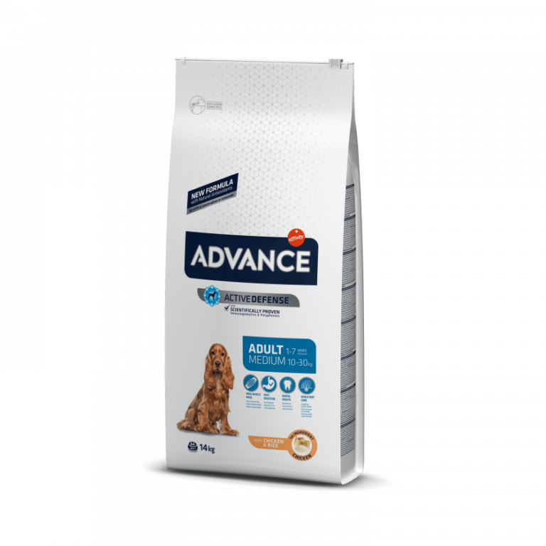 Adulto Médio Frango & Arroz - Advance