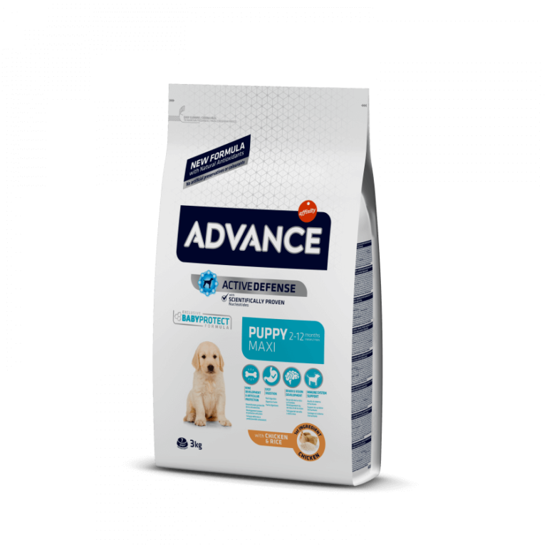 Cão Maxi Puppy - Advance