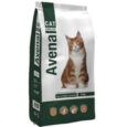 Cat Esterilizado - Avenal