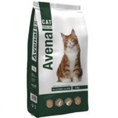 Cat Esterilizado - Avenal