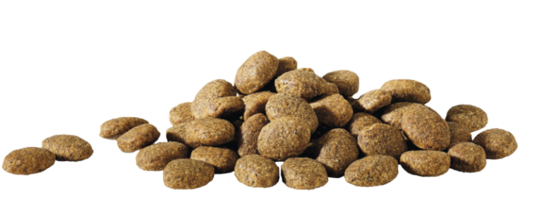 Adulto Essencial - Happy Life 2