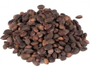 Noz de Cedro - Canto Alegre