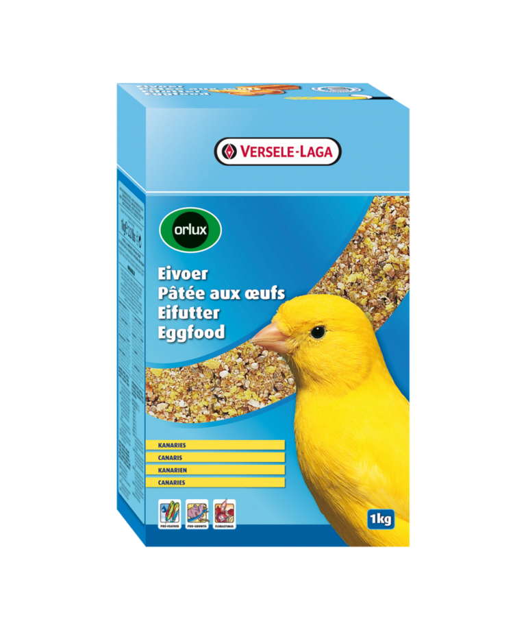 Eggfood Dry Canários 1Kg - Orlux