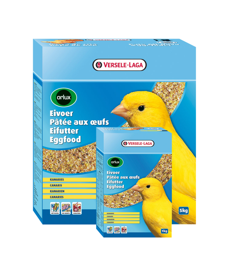 Eggfood Dry Canários 5Kg - Orlux