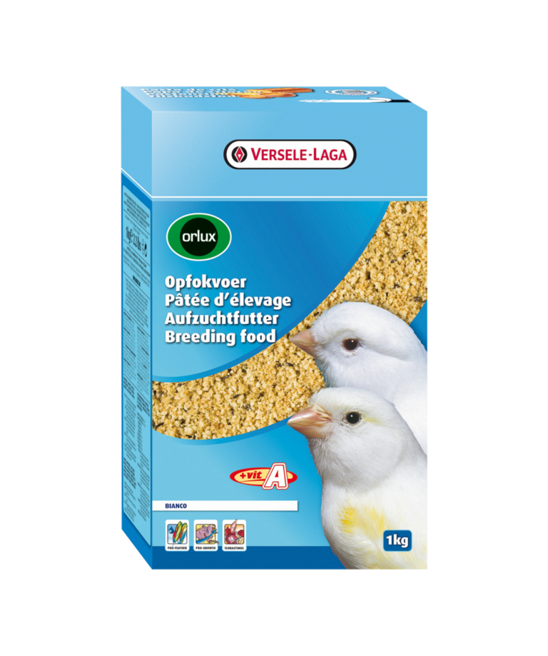 Papa Seca Branca 1Kg - Orlux