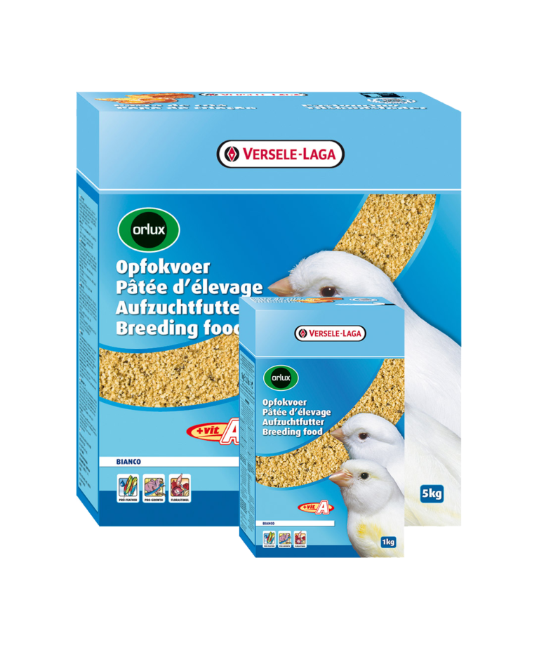 Papa Seca Branca 5Kg - Orlux