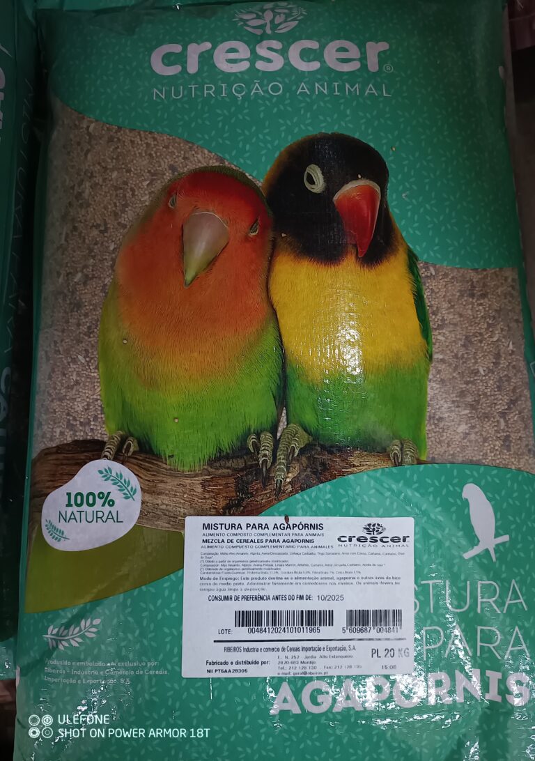 IMG_20250217_184632_535