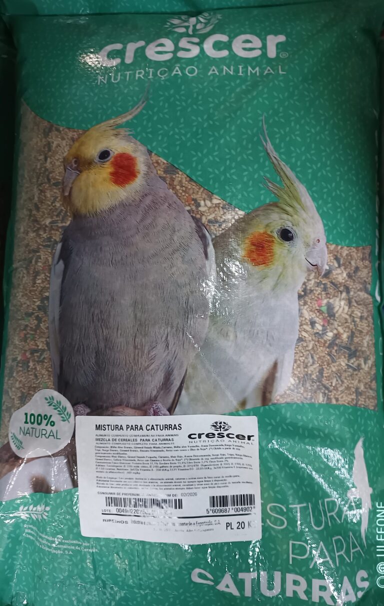 IMG_20250217_184746_710