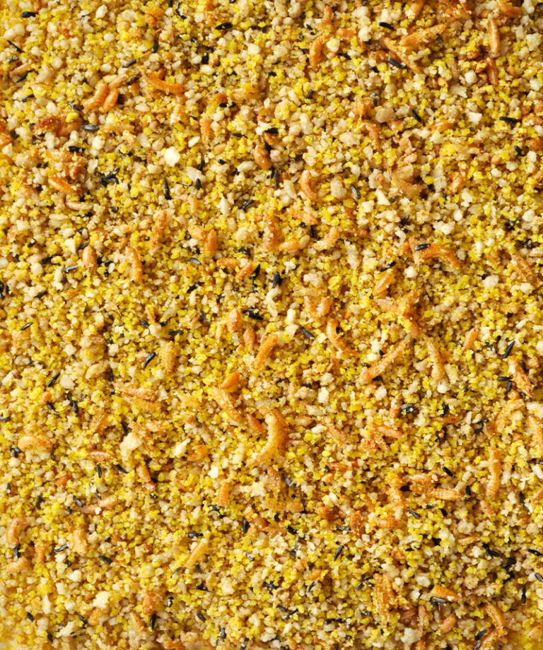 gold patee tropical finches 5kg