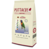 lory pearls 12kg