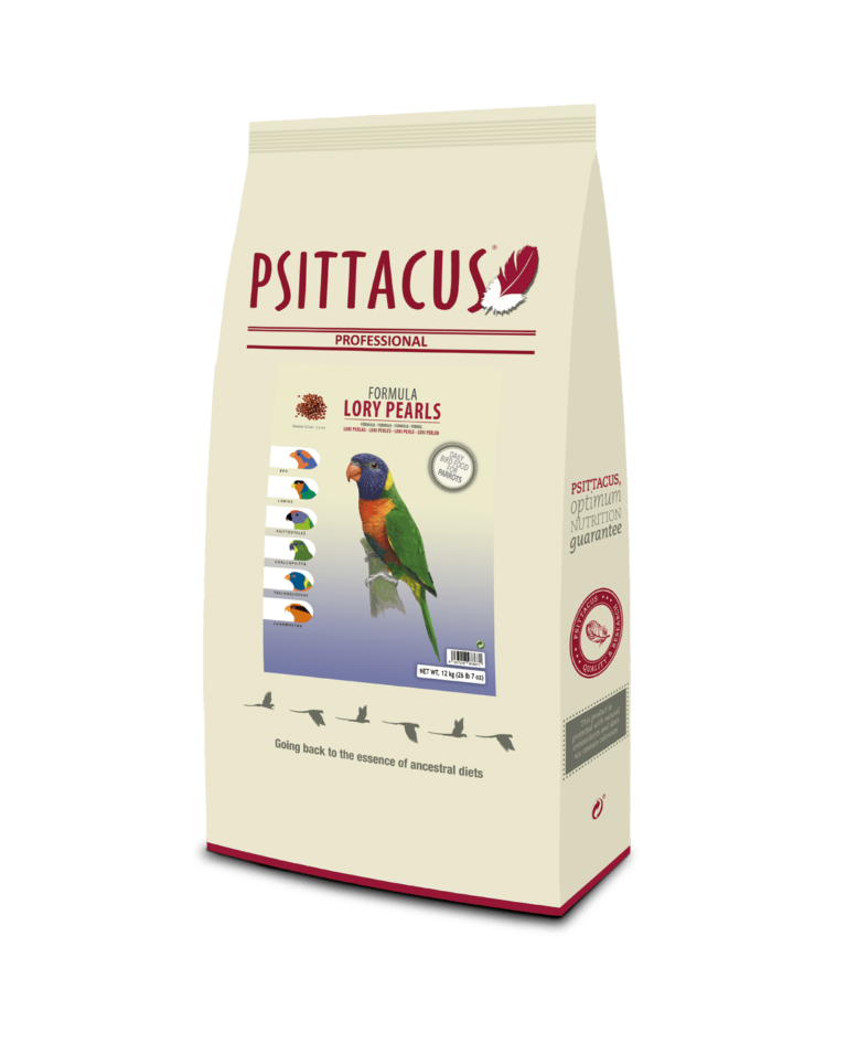 lory pearls 12kg